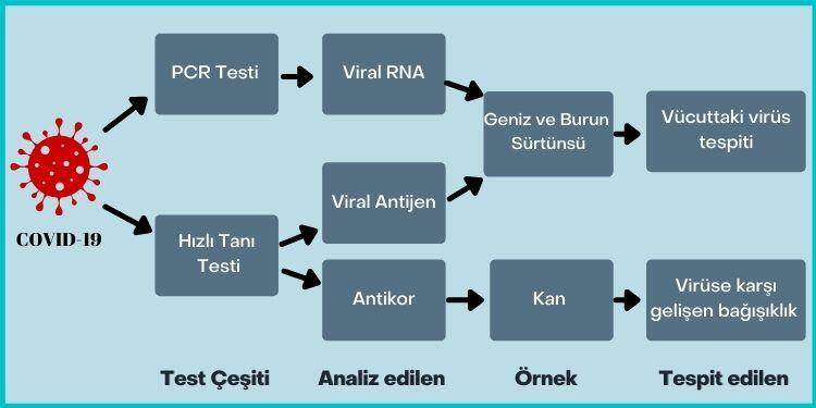 koronavirüs test kiti prosedürleri