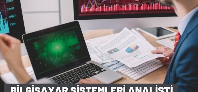 Bilgisayar Sistemleri Analisti