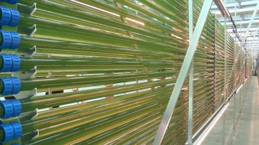 Boğazici Üniversite’sinde Yosundan Enerji Üretilecek2