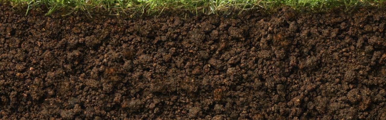 yilda-24-milyar-ton-ust-toprak-tabakasi-kayboldu