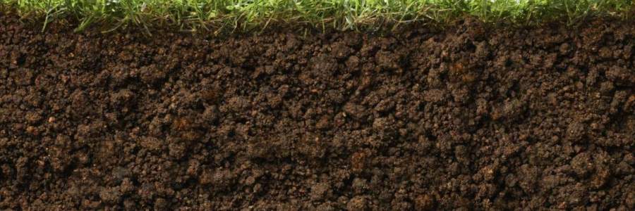 yilda-24-milyar-ton-ust-toprak-tabakasi-kayboldu