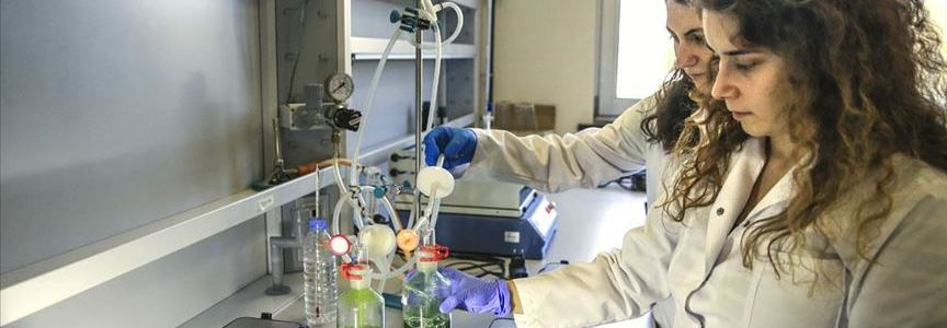 Boğazici Üniversite’sinde Yosundan Enerji Üretilecek4