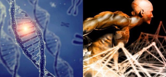 Genetik ve Biyomühendislik