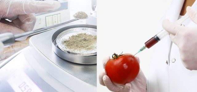 Gıda Mühendisliği Nedir