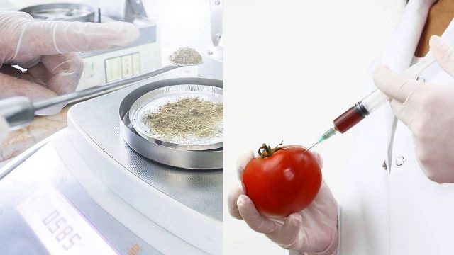 Gıda Mühendisliği Nedir