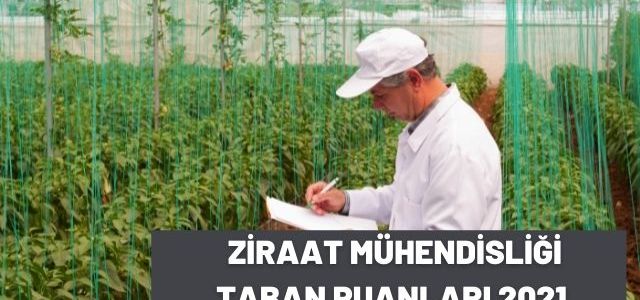 Ziraat Mühendisliği Taban Puanları
