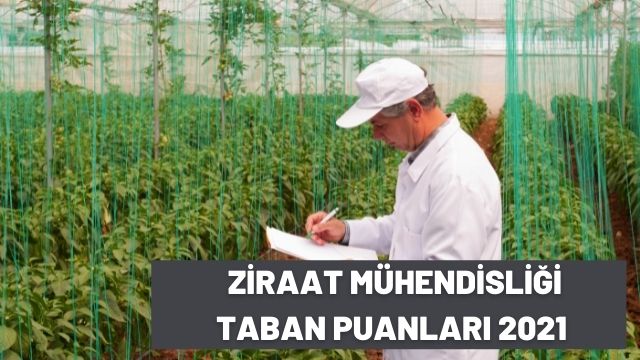 Ziraat Mühendisliği Taban Puanları