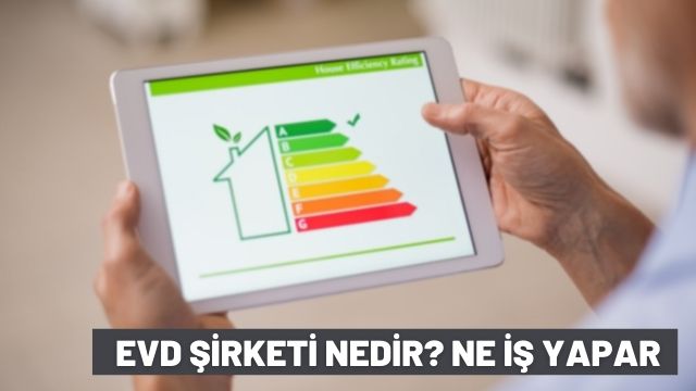 EVD Şirketi