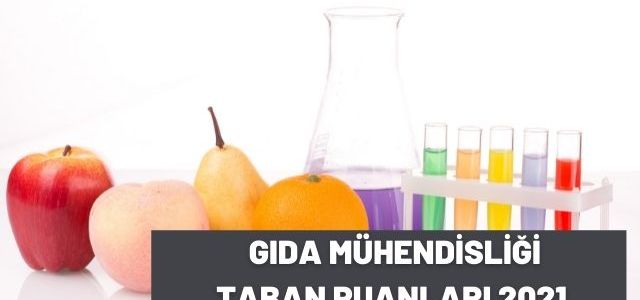 Gıda Mühendisliği Taban Puanları