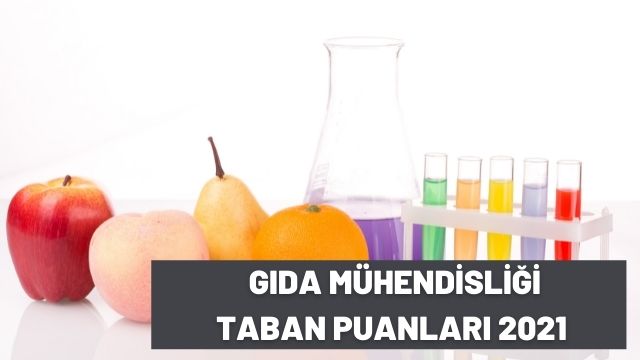 Gıda Mühendisliği Taban Puanları