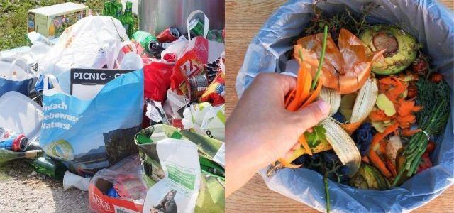 Gıda Atıklarının Etkisi