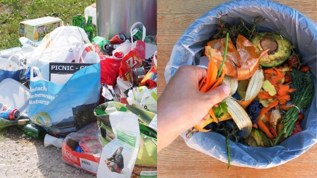 Gıda Atıklarının Etkisi