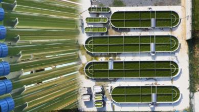 Boğazici Üniversite’sinde Yosundan Enerji Üretilecek