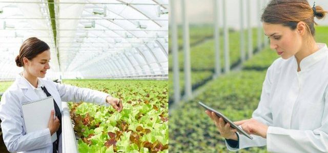 Ziraat Mühendisliği Ne İş Yapar