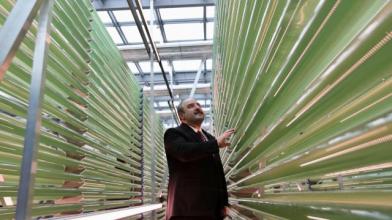 Boğazici Üniversite’sinde Yosundan Enerji Üretilecek3